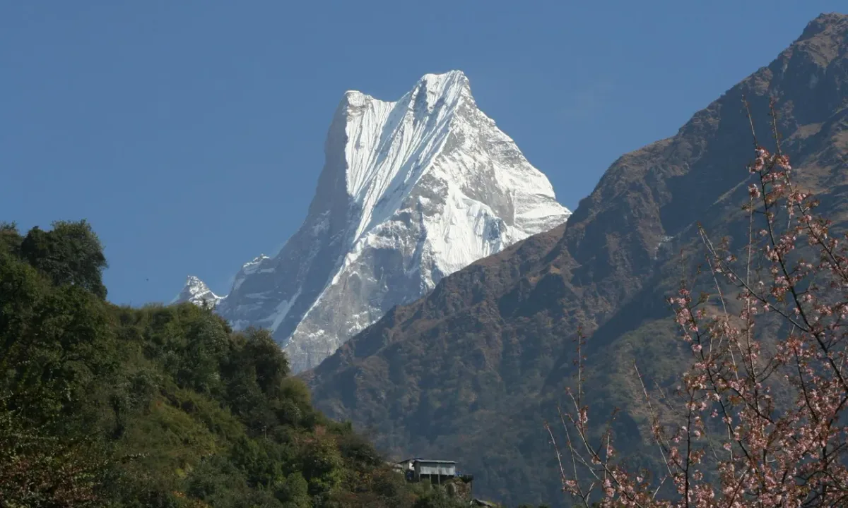 Snow-capped Machhapuchhre mountain in Nepal, with trees and a building in the foreground.