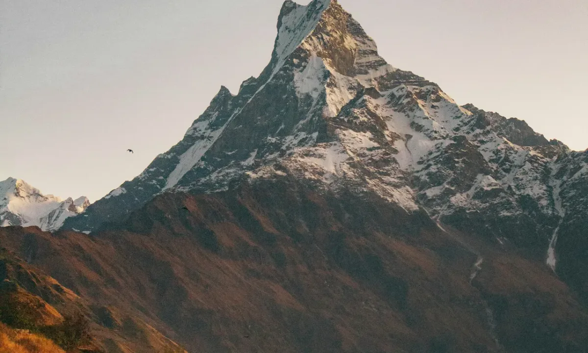 Close up view of Machhapuchhre Fishtail Mountain with autumn foliage on Mardi Himal Trek Nepal