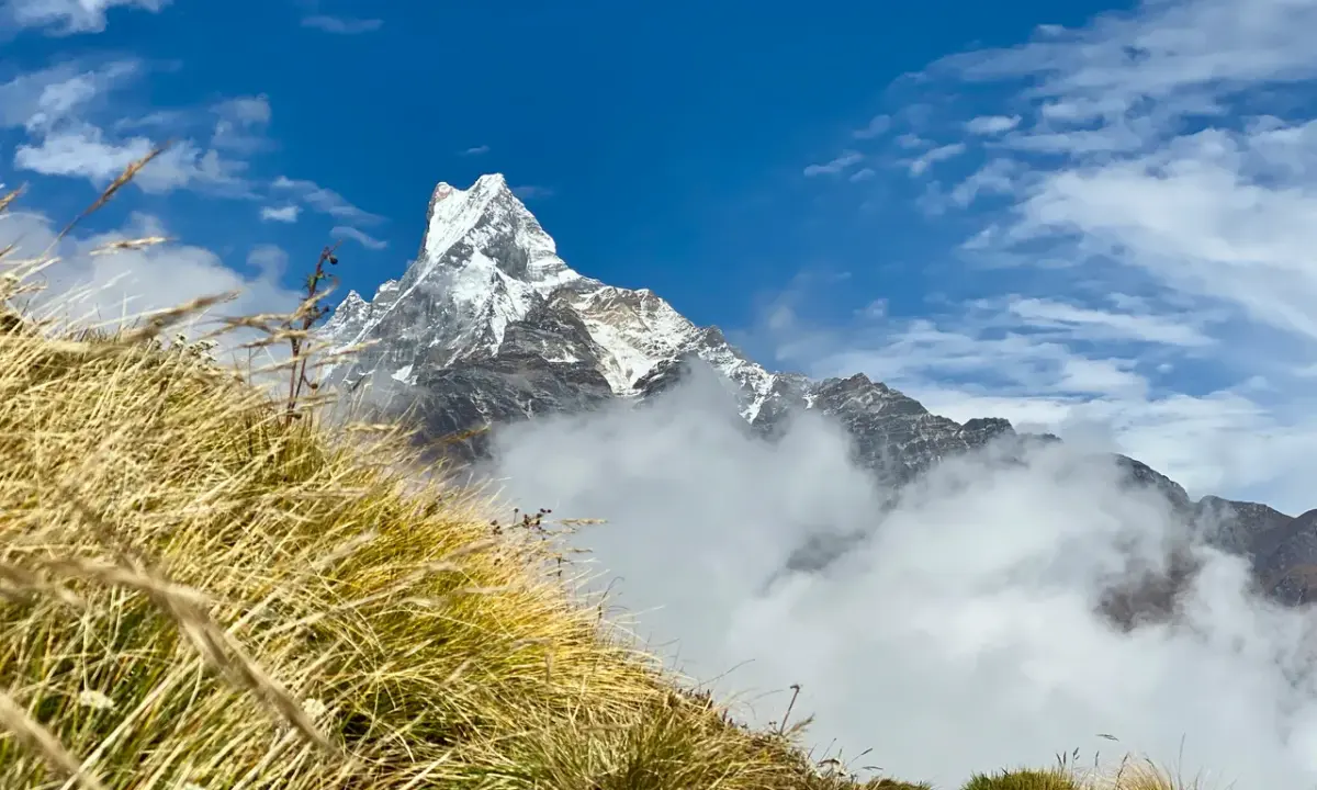 Machhapuchhre Fishtail Mountain view through golden grass and clouds on Mardi Himal Trek Nepal