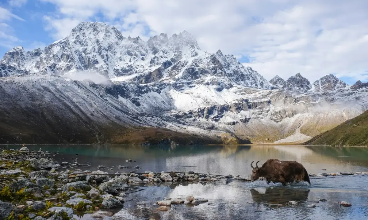 Gokyo Lake with snow-capped Himalayan peaks reflected in turquoise glacial waters, Everest region Nepal