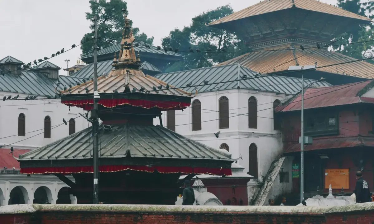A view of the Pashupatinath Temple complex in Kathmandu, featuring traditional tiered pagoda roofs and a long power line filled with resting pigeons in the foreground.