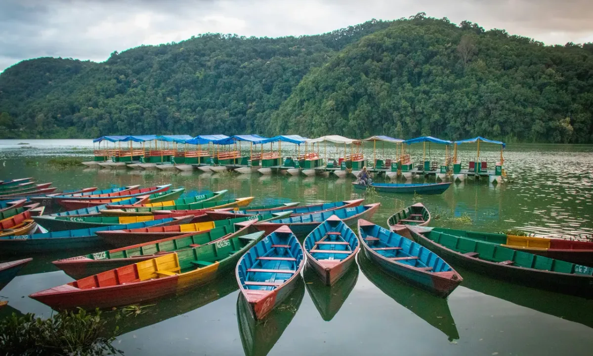 Brightly painted, traditional wooden boats moored along the edge of Phewa Lake in Pokhara, with lush green hills in the background.
