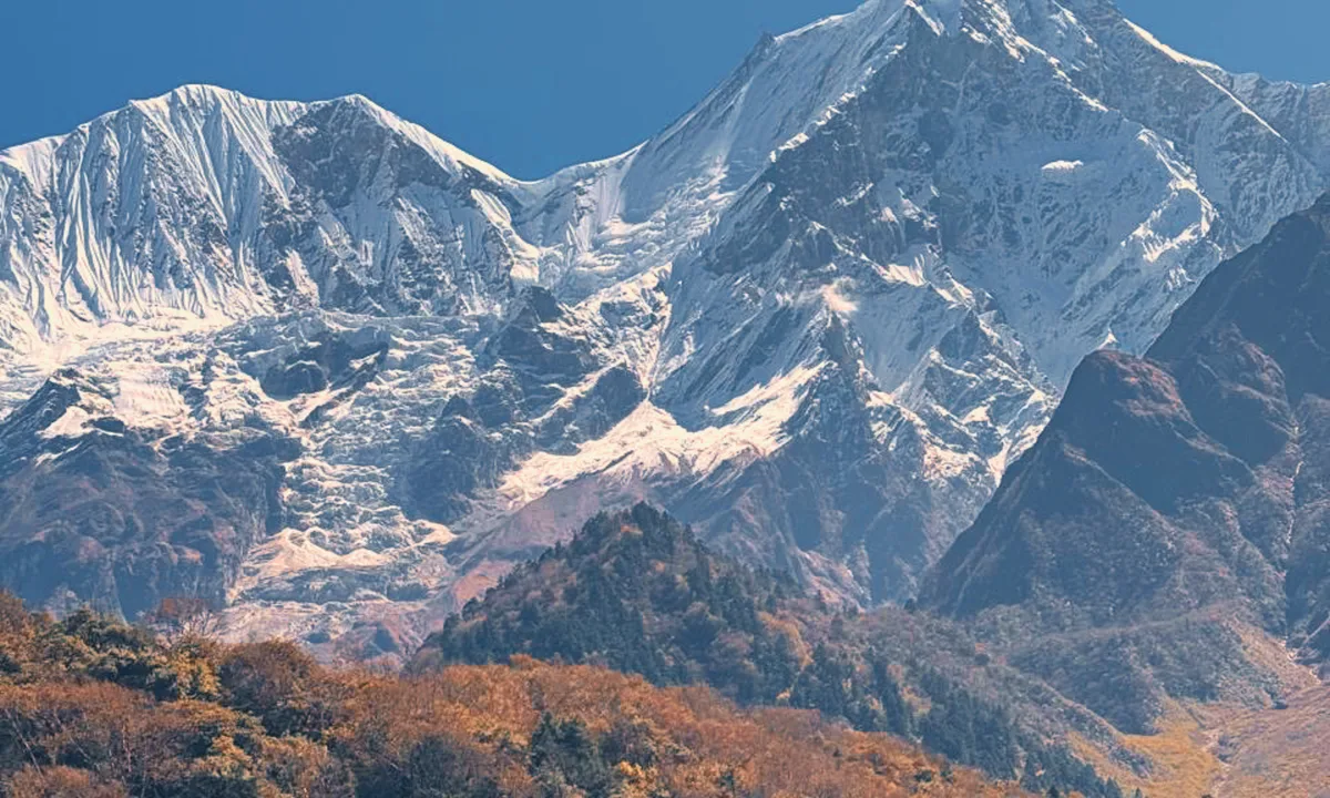 Close-up view of Manaslu (8,163m) the world's eighth highest mountain with autumn foliage in foreground