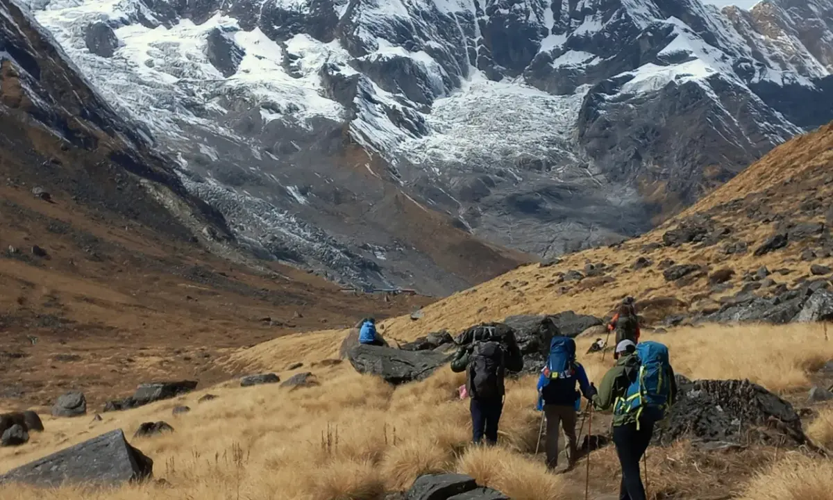 Group of trekkers hiking alpine meadow trail toward snow covered Annapurna glacier Annapurna Base Camp trek Nepal