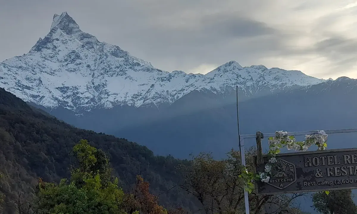 Trekking in Monsoon: What I Saw on the Mardi Himal–Ghorepani Trail in July