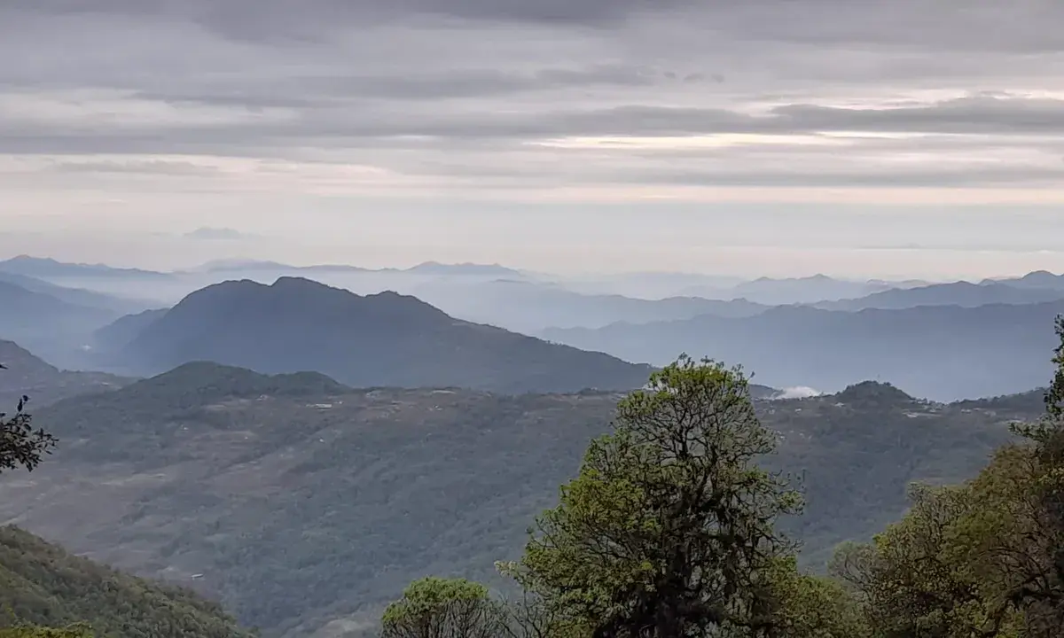 The lower trail on a still-dry monsoon day — lush, green, and deceptively calm before the clouds moved in.