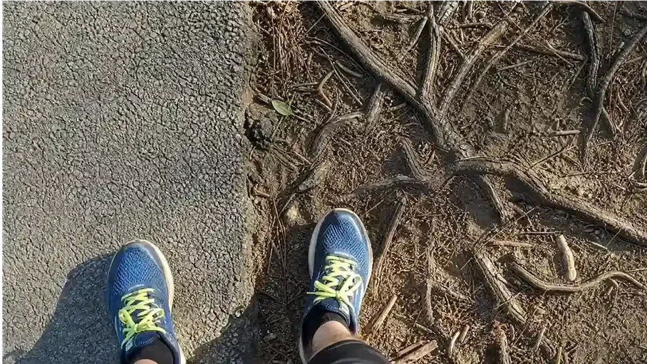 Trail Running vs Road Running 