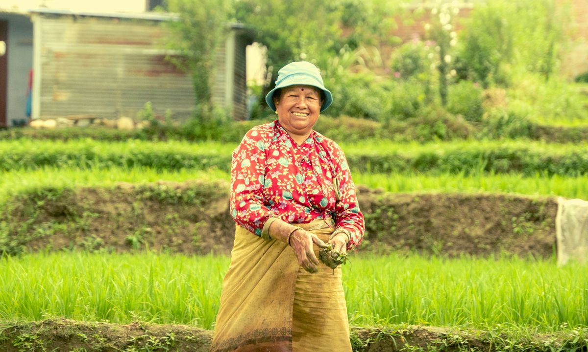 A smiling woman wearing a light blue hat, red patterned blouse wrapped skirt standing in a vibrant green rice paddy field.