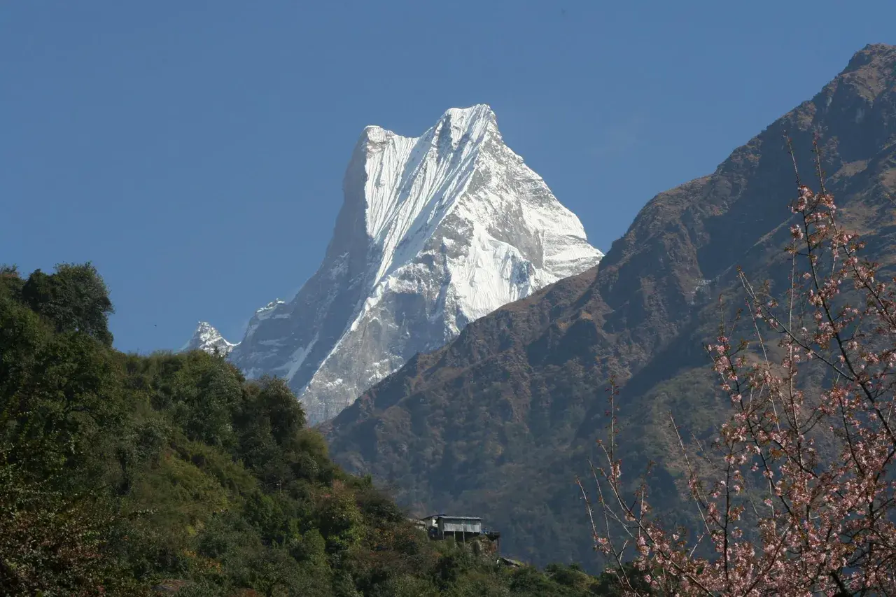 Snow-capped Machhapuchhre mountain in Nepal, with trees and a building in the foreground.