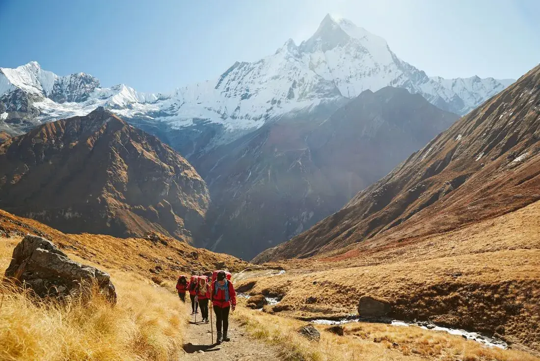 Hikers trek through a golden valley towards snow-capped Annapurna mountain in Nepal.