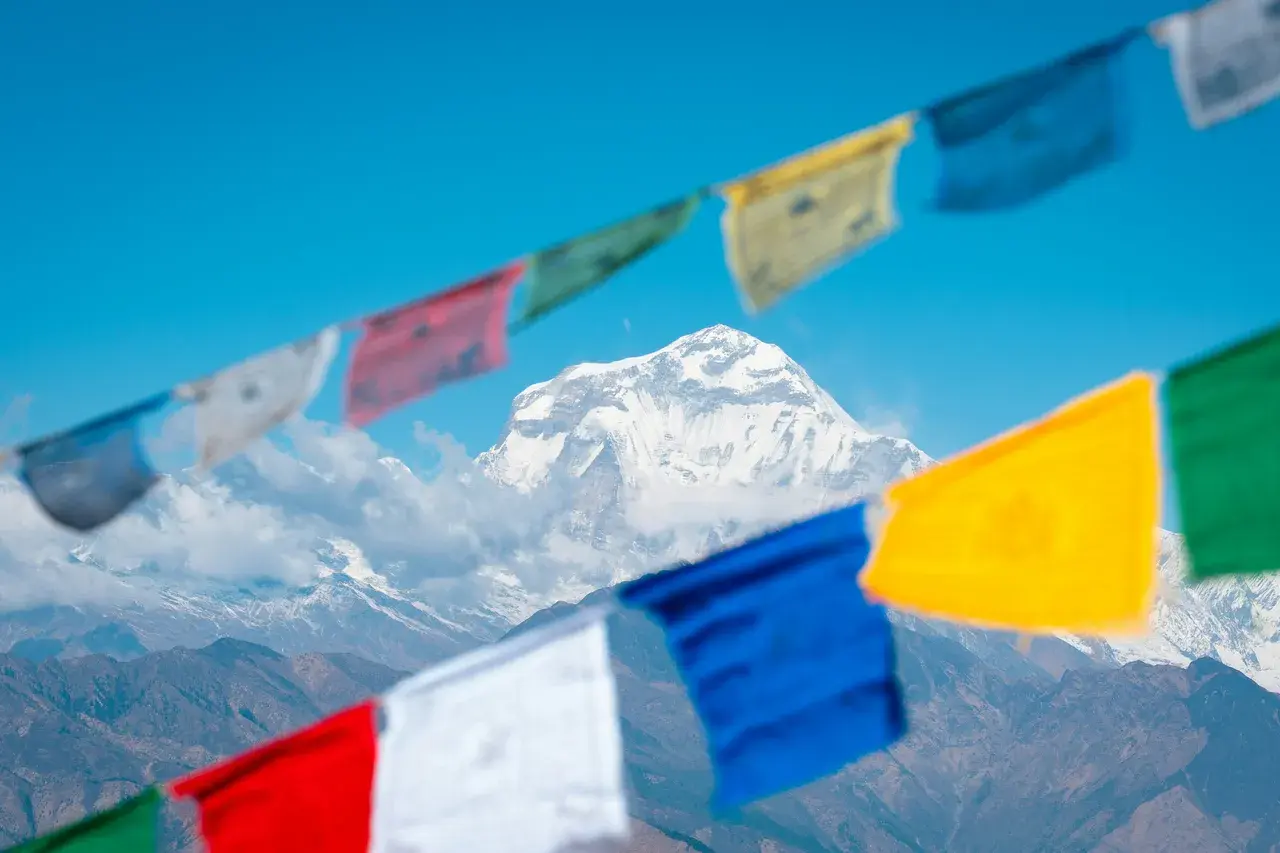 Colorful Tibetan prayer flags with Dhaulagiri mountain range Ghorepani Poon Hill trek Nepal