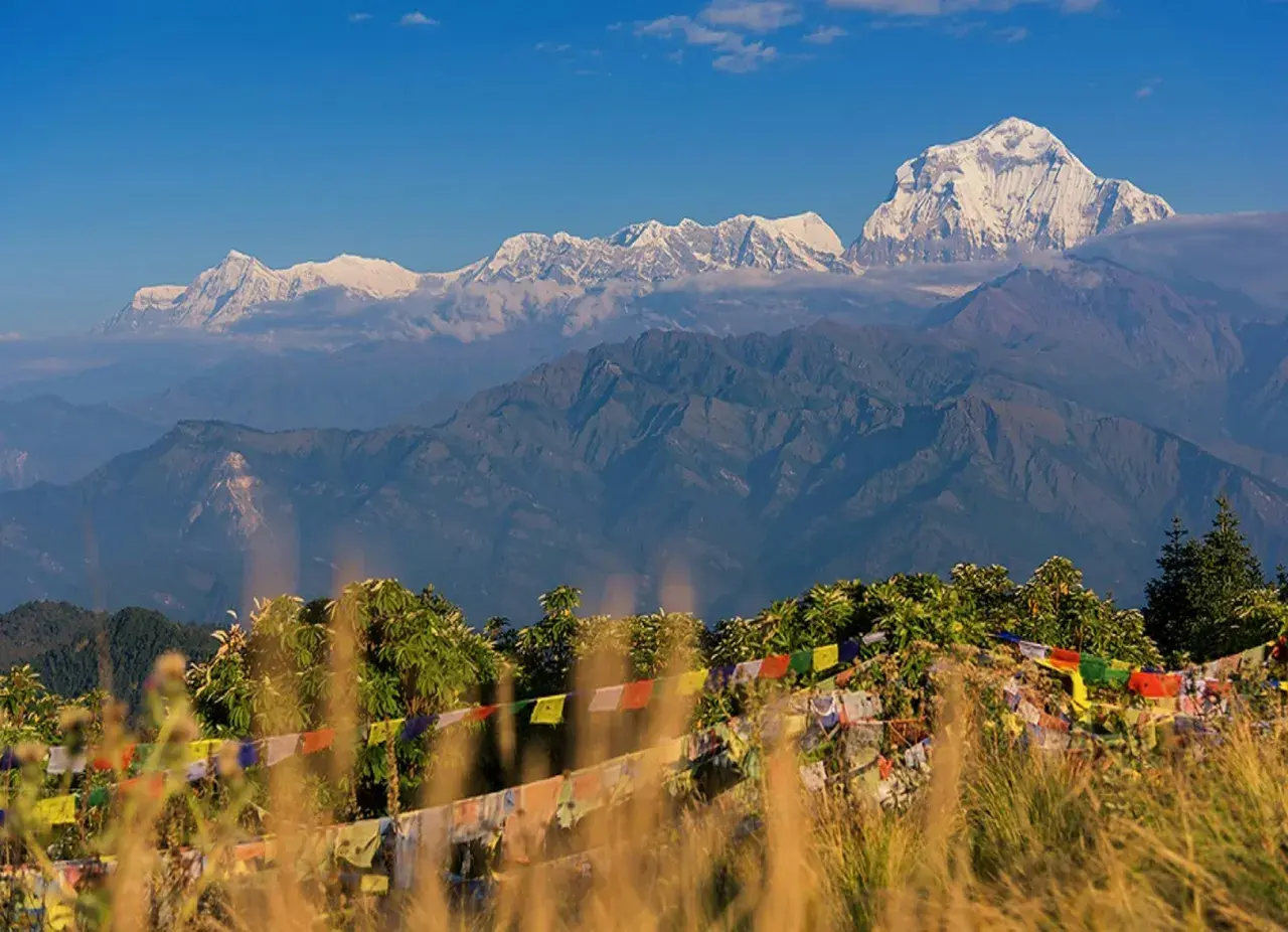 Rhododendron forest trail with Annapurna valley view Ghorepani Poon Hill trek Nepal spring