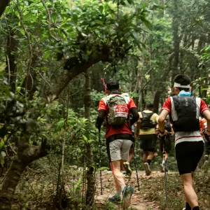 Trail runners with race bibs and trekking poles hiking through dense green jungle forest during an ultramarathon trail race