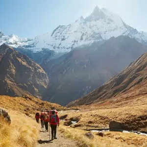 Hikers trek through a golden valley towards snow-capped Annapurna mountains.