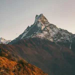 Close up view of Machhapuchhre Fishtail Mountain with autumn foliage on Mardi Himal Trek Nepal