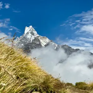 Machhapuchhre Fishtail Mountain view through golden grass and clouds on Mardi Himal Trek Nepal
