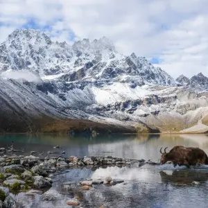 Gokyo Lake with snow-capped Himalayan peaks reflected in turquoise glacial waters, Everest region Nepal