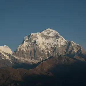 Snow-capped Dhaulagiri peak under clear blue sky viewed from Khopra Ridge trek, Annapurna region Nepal