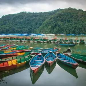 Brightly painted, traditional wooden boats moored along the edge of Phewa Lake in Pokhara, with lush green hills in the background.