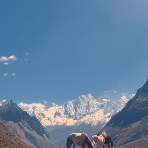 Panoramic view of snow-capped Himalayan peaks along the Manaslu Circuit trekking route
