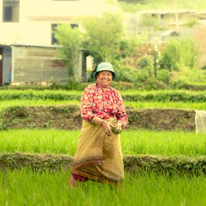 Smiling woman farmer standing in green paddy field holding rice seedlings during National Paddy Day in Nepal