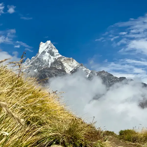 Machhapuchhre Fishtail Mountain view through golden grass and clouds on Mardi Himal Trek Nepal