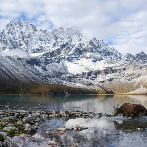 Gokyo Lake with snow-capped Himalayan peaks reflected in turquoise glacial waters, Everest region Nepal
