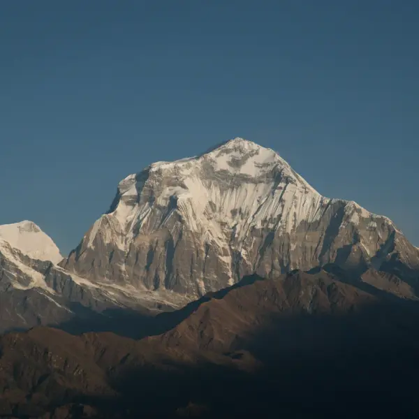 Snow-capped Dhaulagiri peak under clear blue sky viewed from Khopra Ridge trek, Annapurna region Nepal