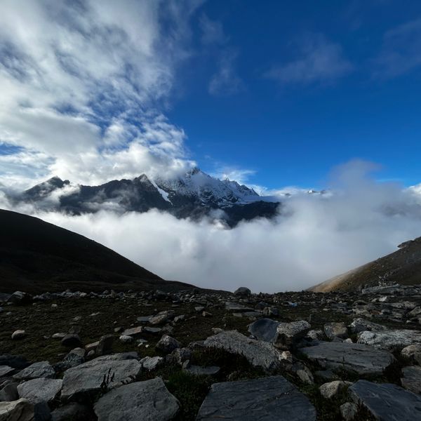 Snow-capped peaks of Langtang Himal rising dramatically above the clouds in Langtang National Park