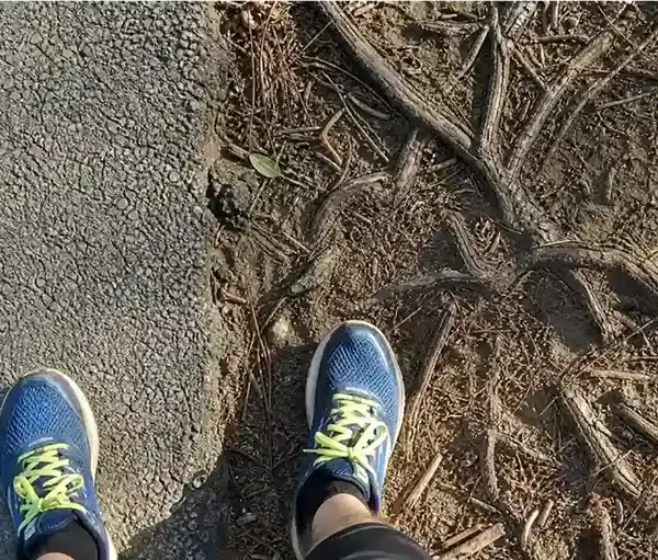 Trail Running vs Road Running: Key Differences Explained